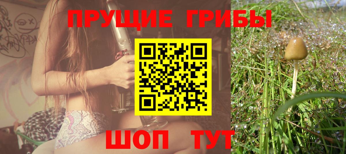 Псилоцибиновые грибы Magic Shrooms  Вход с VPN  Аксай 